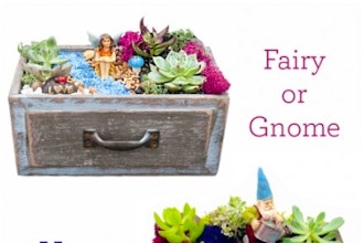 Plant Nite: You Pick: Fairy or Gnome Succulent Garden